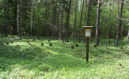 41. Vokiečių karių kapinės (Paverknės miške).jpg